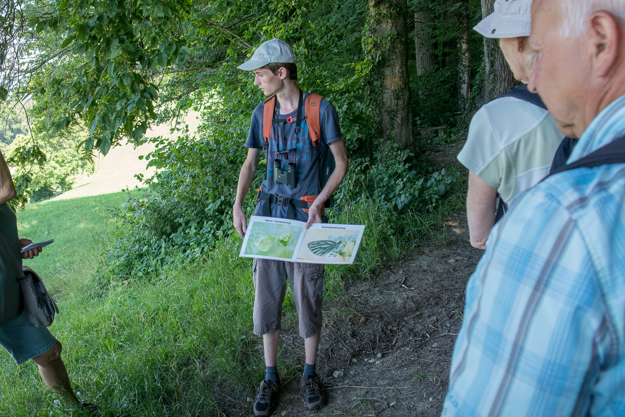 Silvan erklärt die Schmetterlinge
