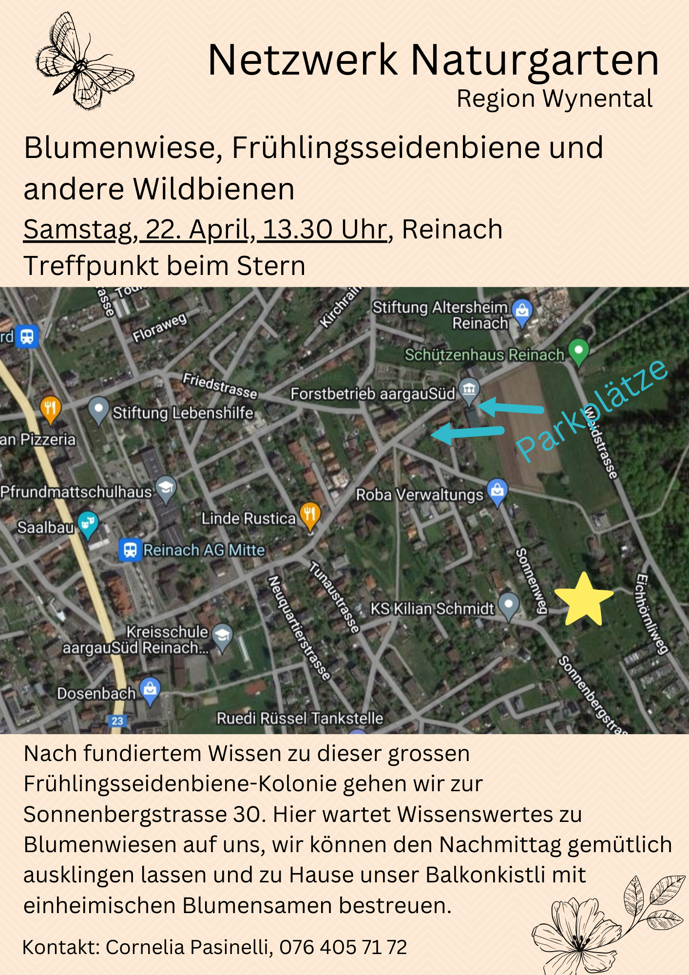 Flyer zum Wildbienenanlass