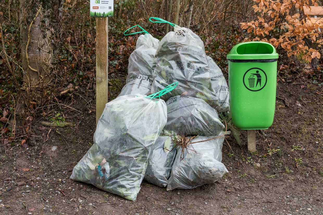 Neophytensäcke zeigen den Erfolg unserer Arbeit