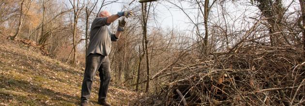 Arbeitseinsatz am Homberg