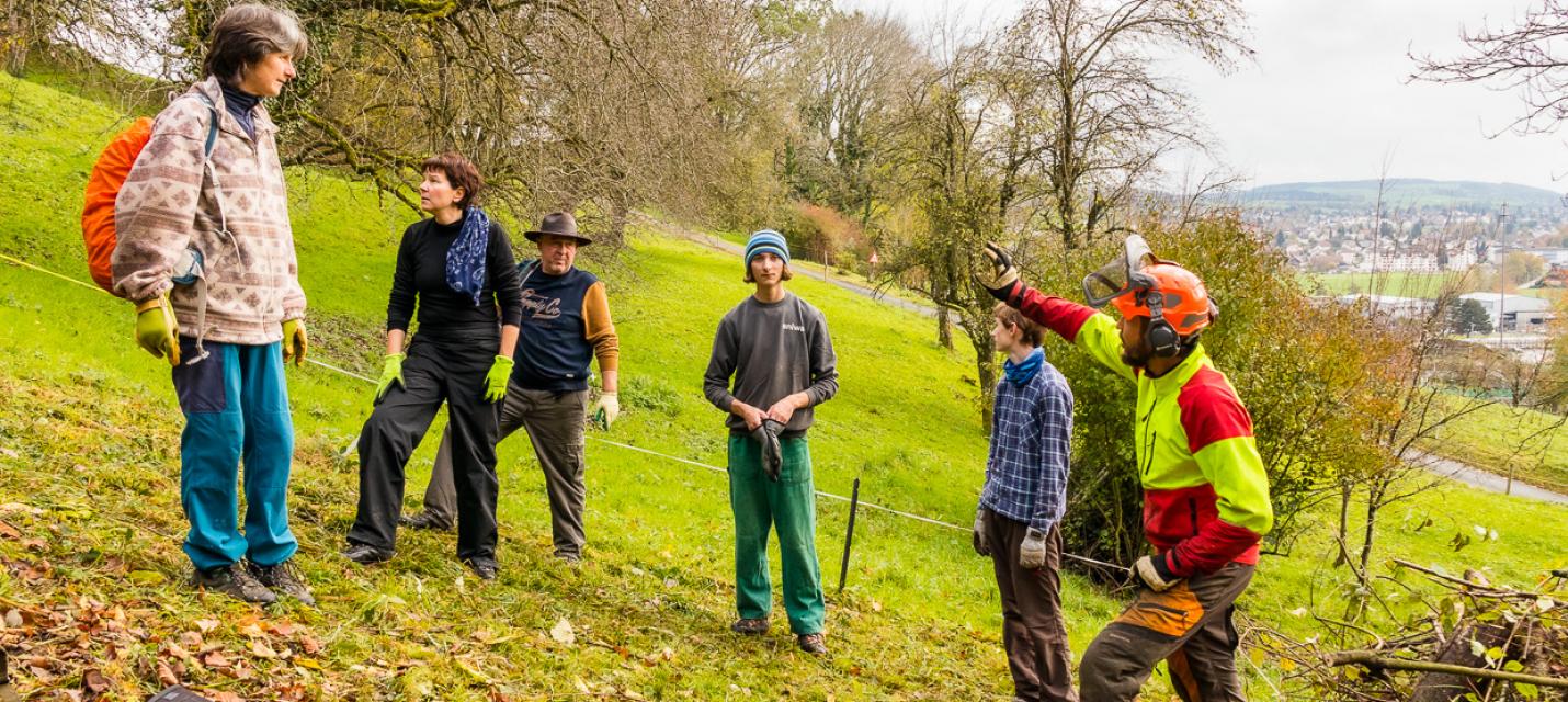 Philipp Schuppli von der apiaster GmbH erläutert das Projekt