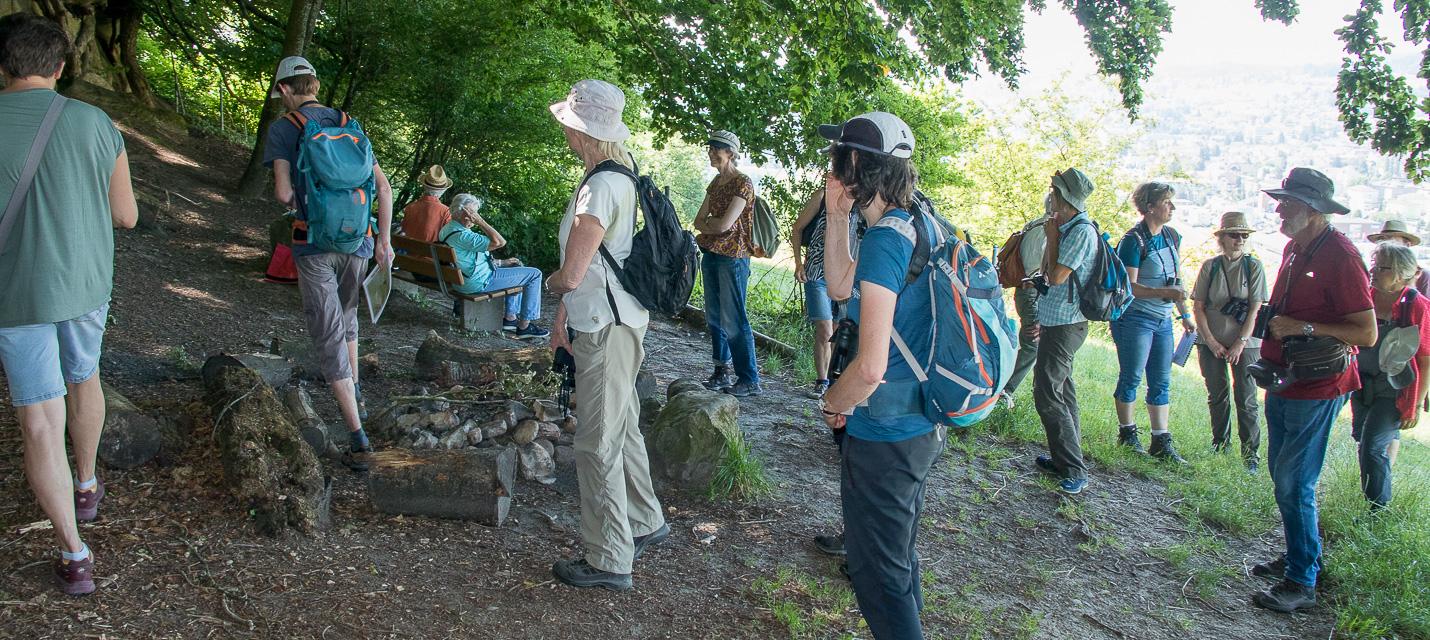 Interessierte Teilnehmer an der Schmetterlingsexkursion am Homberg