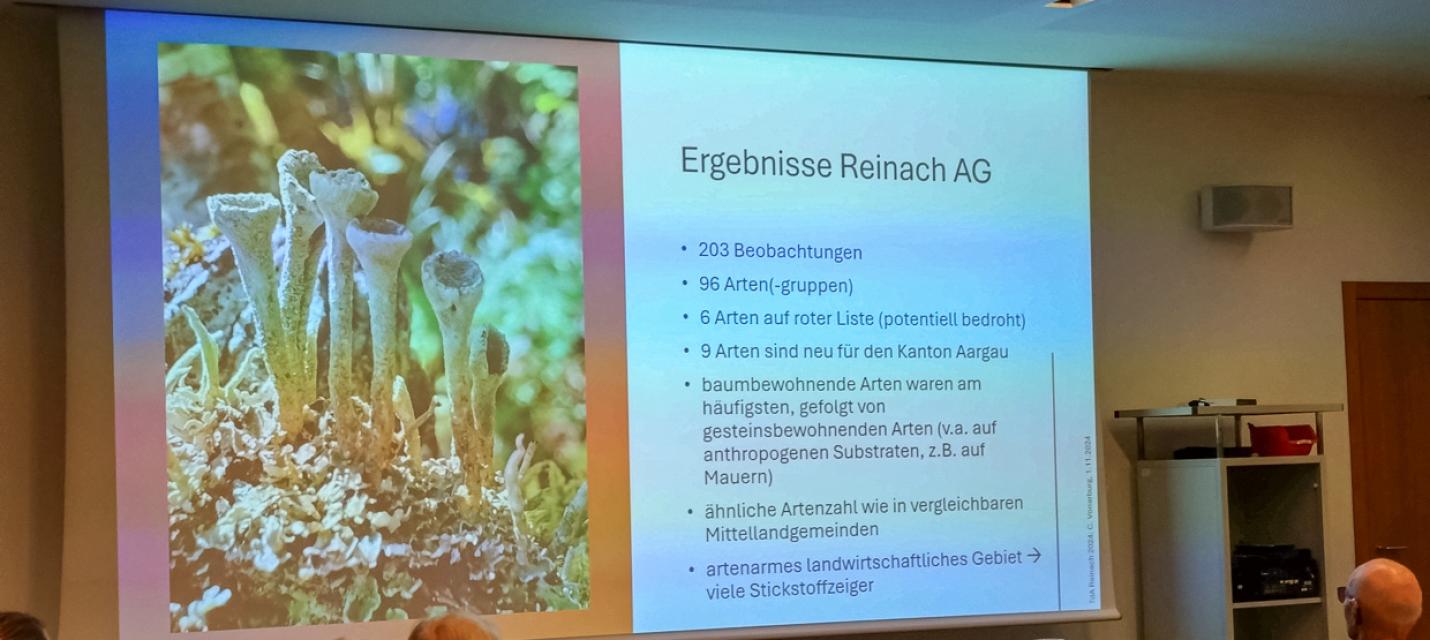 Präsentation Flechten
