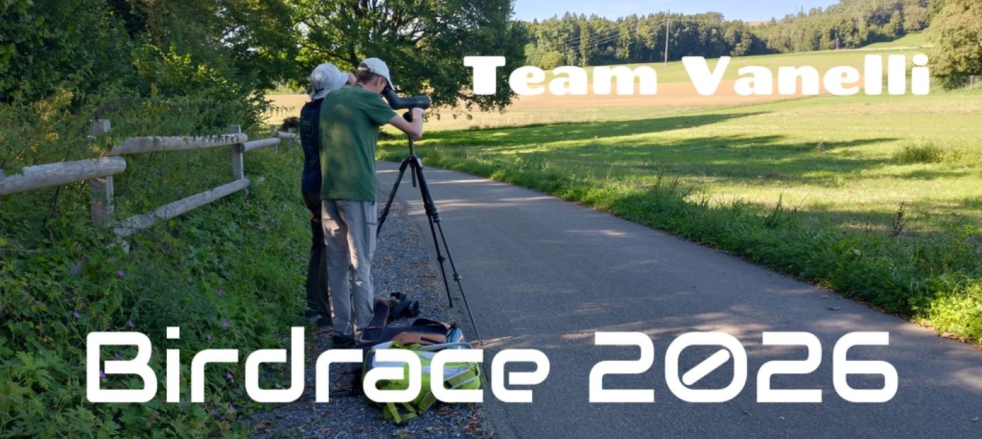 Birdrace 2026 Team Vanelli