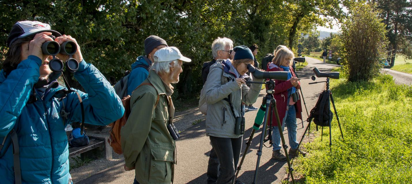 Beobachten im Feld