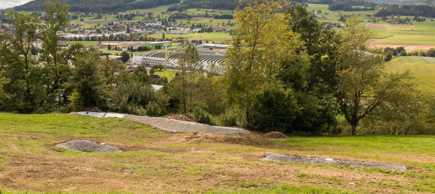 Drei neue Teiche am Homberg