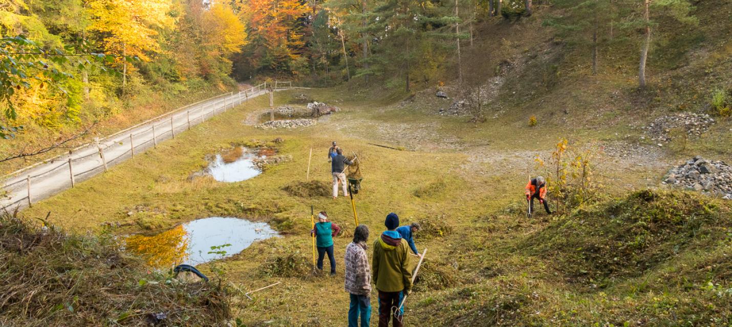 Arbeitseinsatz im Zollester