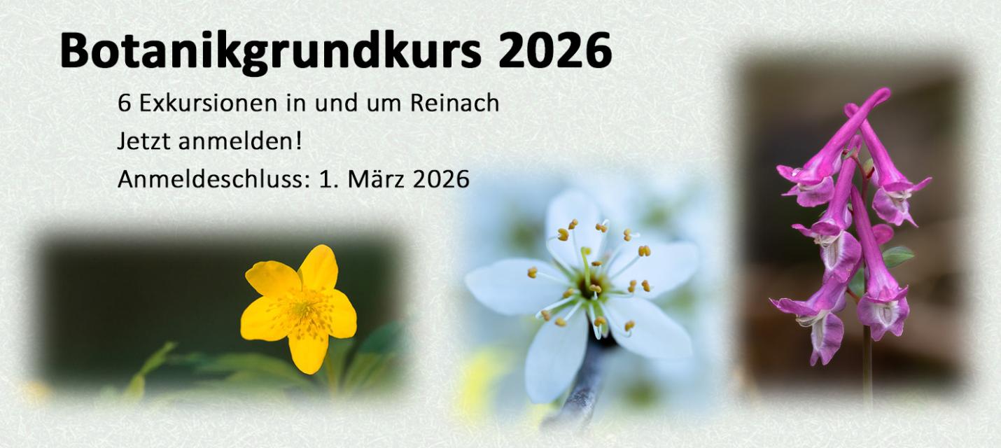 Botanikgrundkurs 2026