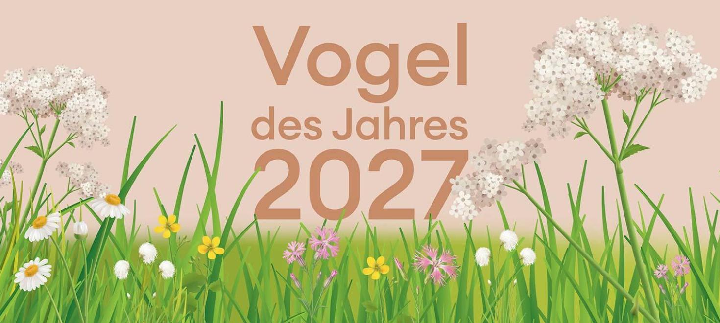 Wahl Vogel des Jahres 2027