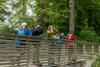 Die Teilnehmenden an der Auenwanderung machen viele schöne Beobachtungen